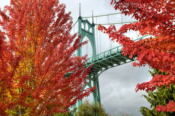 Red October - Free image #391607